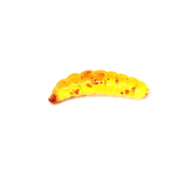 pi_11