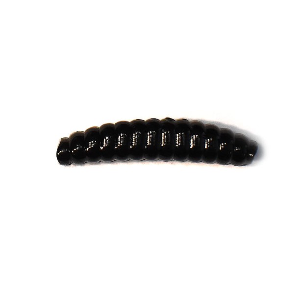 pe_05