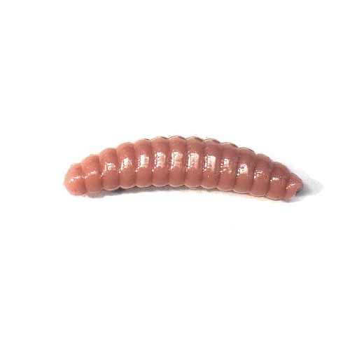 pe_01