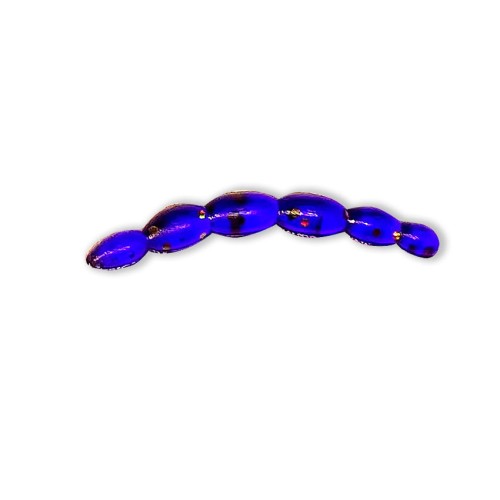 och_08