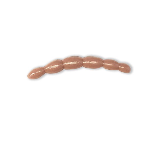 och_03