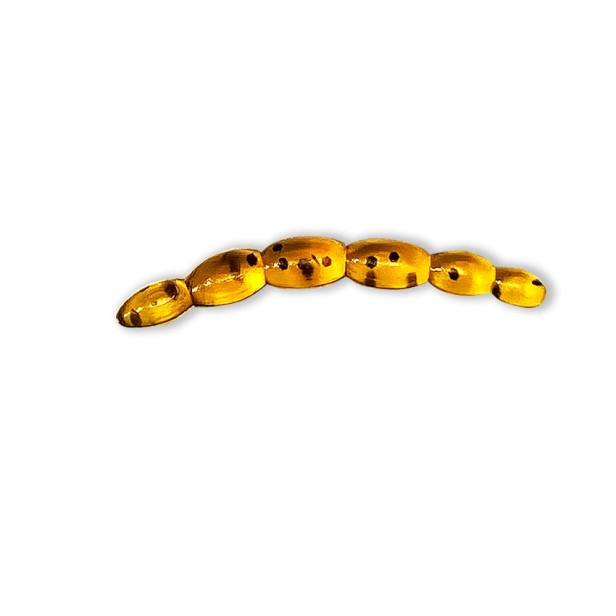 och_02