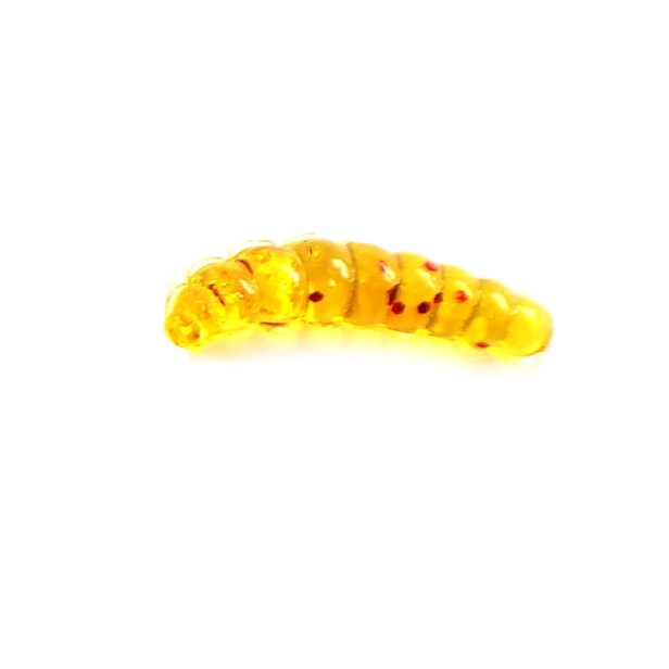 pi_15